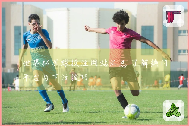 世界杯买球投注网站汇总 了解热门平台与下注技巧