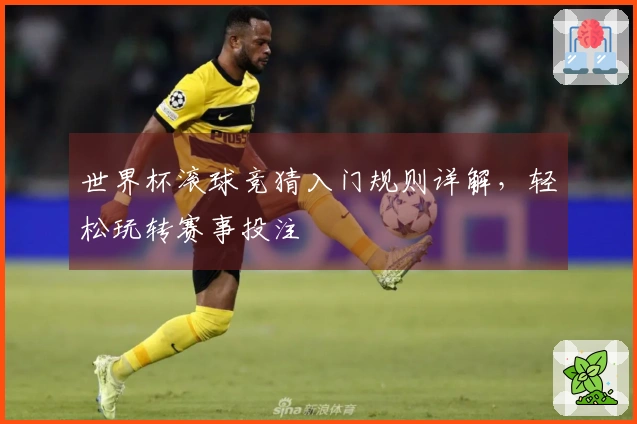 世界杯滚球竞猜入门规则详解，轻松玩转赛事投注